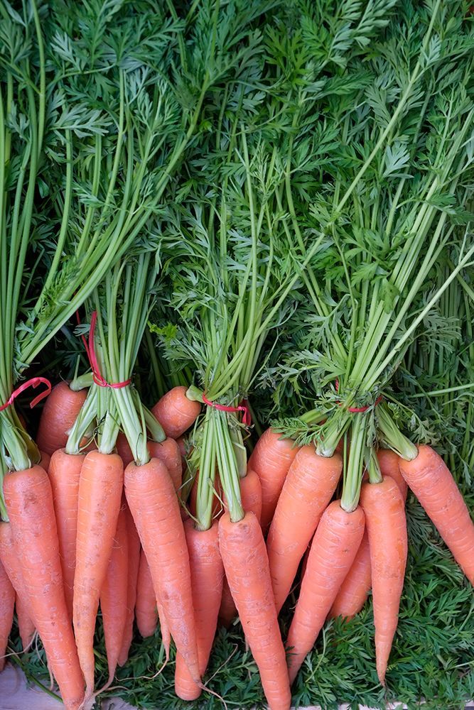 Palermo, Sicily. Fresh carrots for sale at the Ballaro market